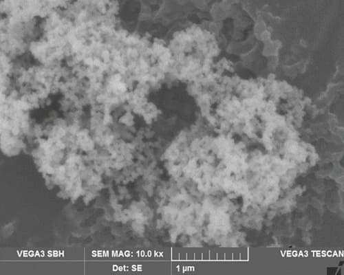 Siliziumkarbid-Nanopulver SEM